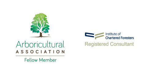 registered tree consultant